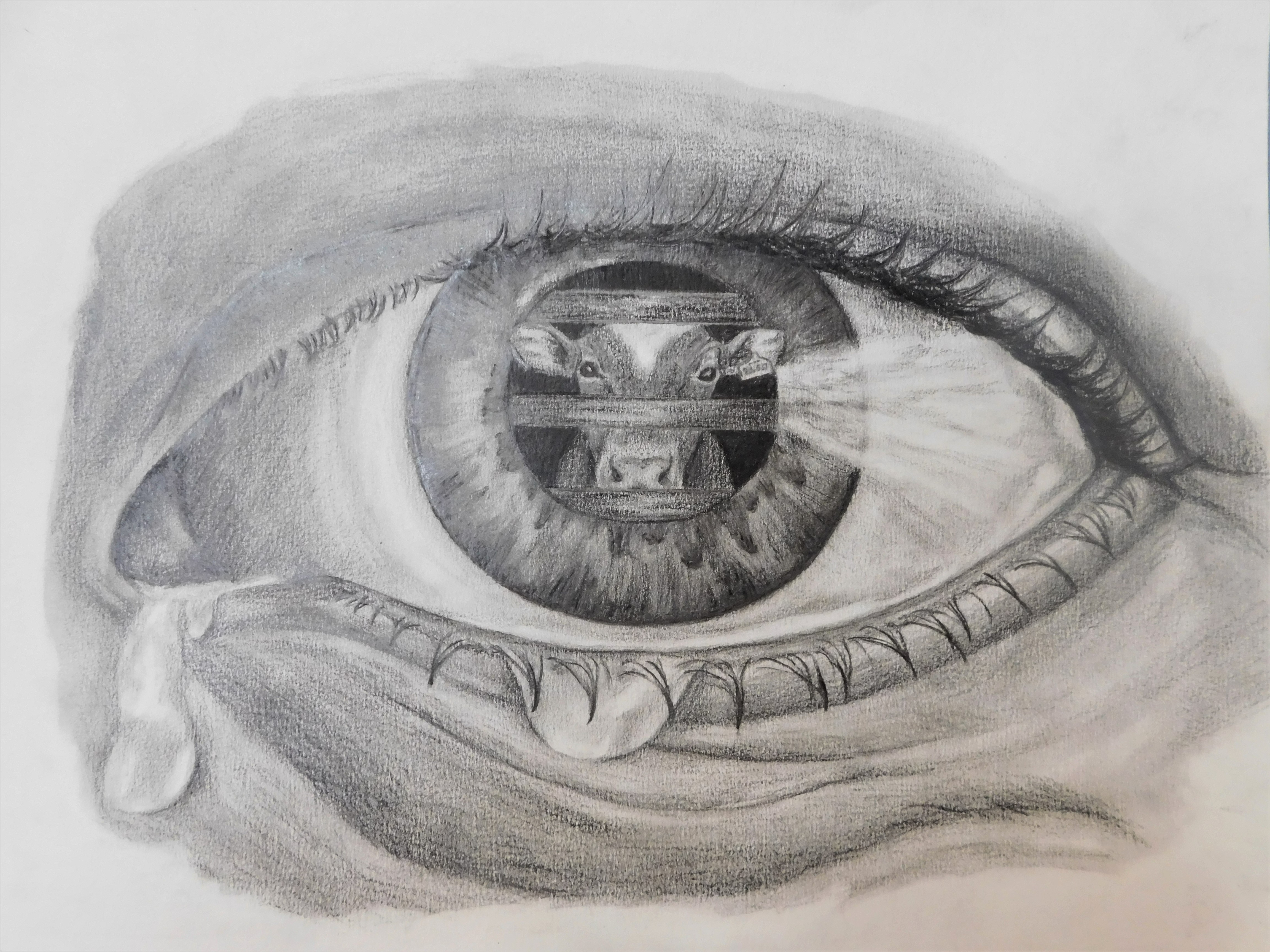 /uploaded_files/media/gallery/1592548434by Leah Mannes Year 10 Drawing (2).JPG